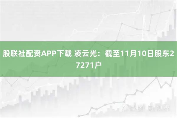 股联社配资APP下载 凌云光：截至11月10日股东27271户