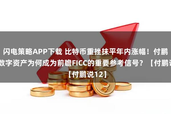 闪电策略APP下载 比特币重挫抹平年内涨幅!付鹏解读数字资产为何成为前瞻FICC的重要参考信号?【付鹏说12】